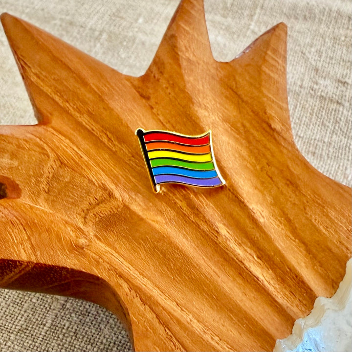Rainbow Pin Set - Nadel